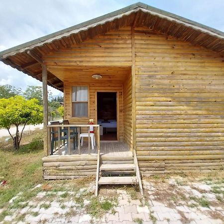 Elamir Resort Hotel Kemer Ngoại thất bức ảnh