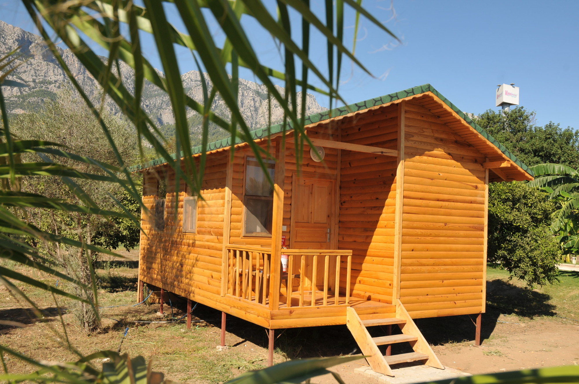 Elamir Resort Hotel Kemer Ngoại thất bức ảnh